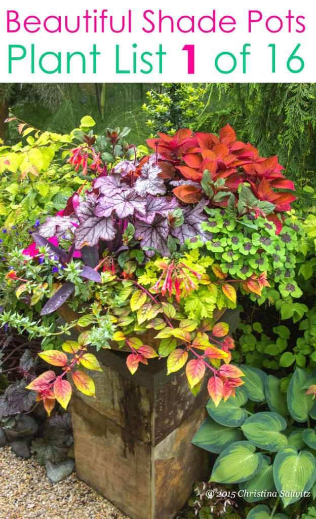 Shade pots with beautiful mixed foliage