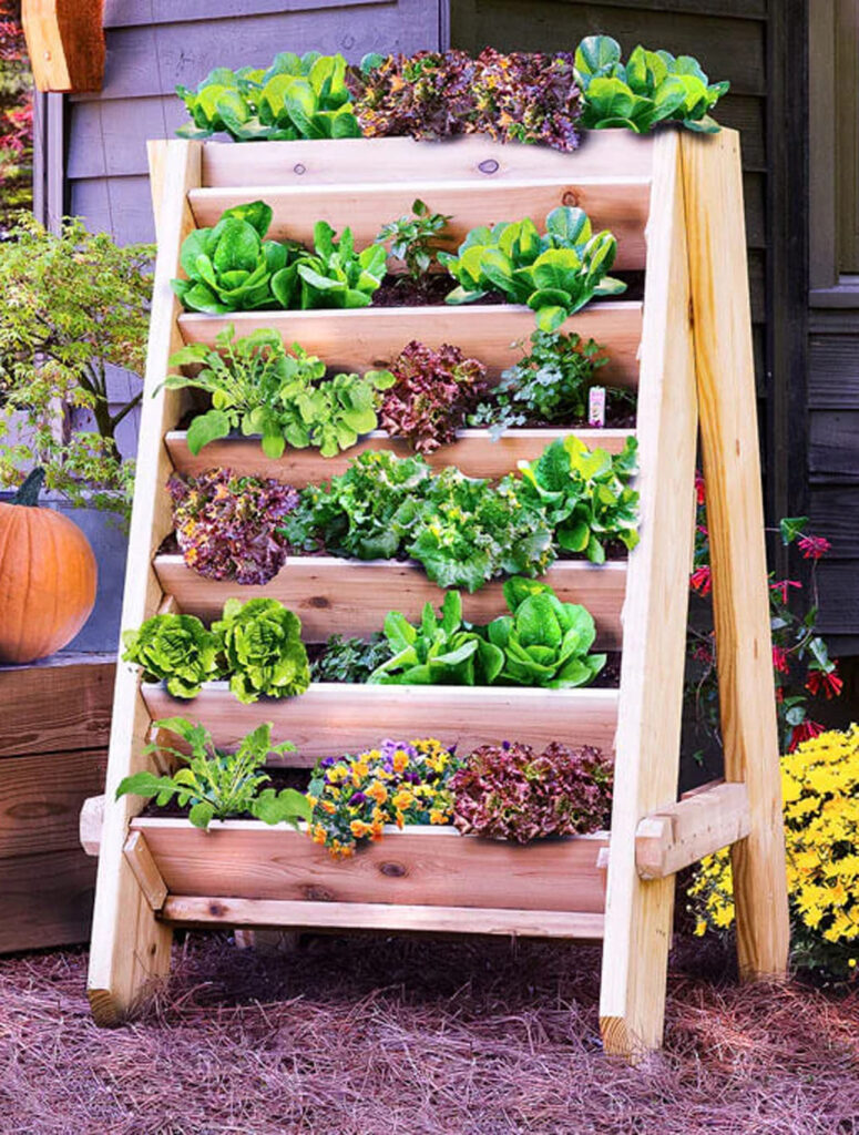 Vertical container vegetable garden on a DIY ladder planter