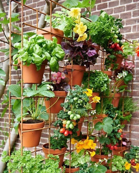 Hanging pots vertical container vegetable garden