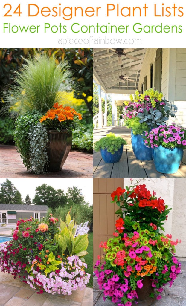 Colorful and creative container garden ideas