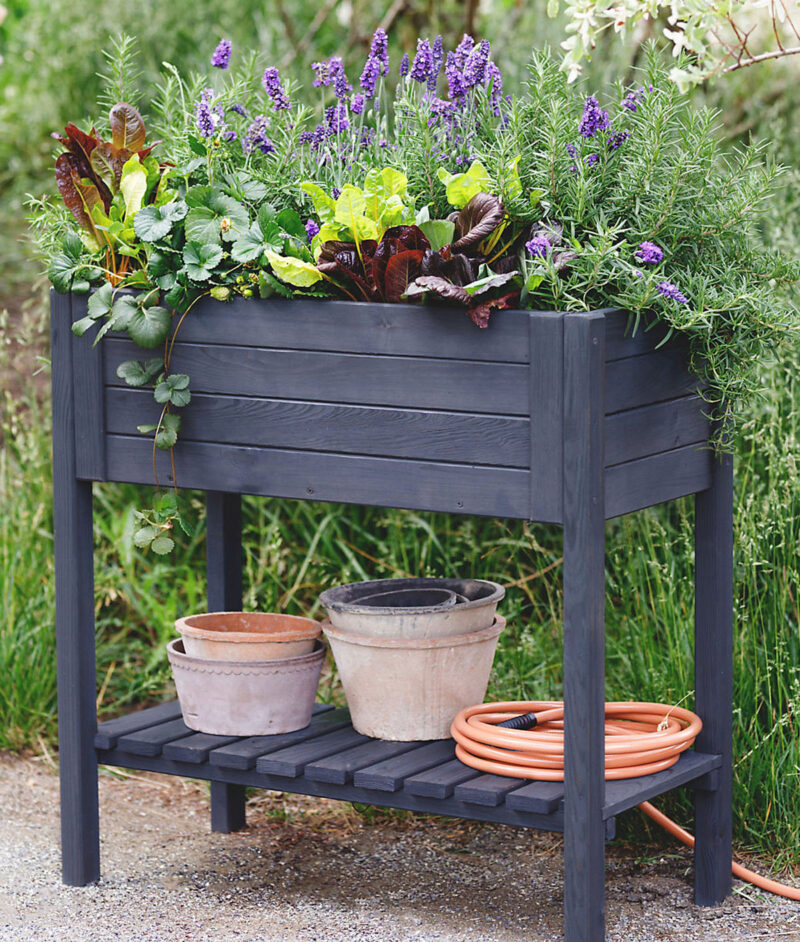 Raised box vegetable garden