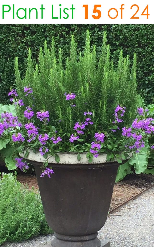 Kitchen garden planter ideas