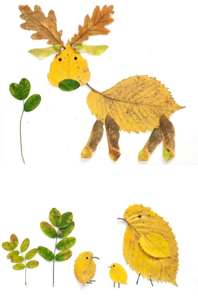 animal art with pressed fall leaves 