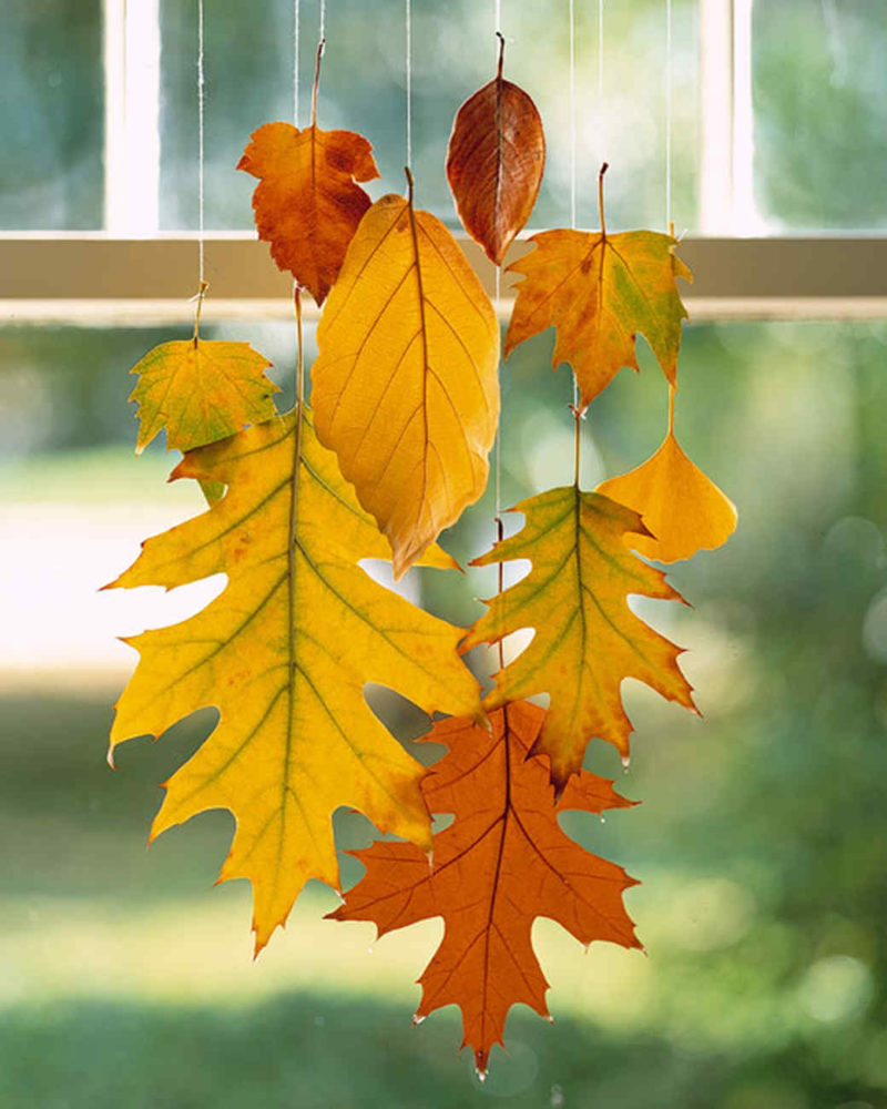 How to preserve fall leaves using wax, 