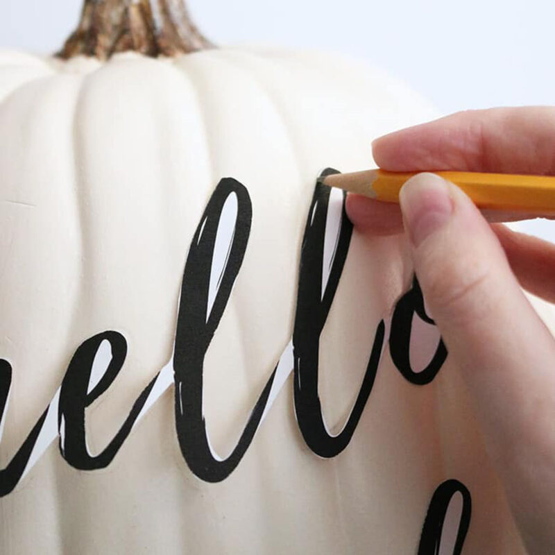Modern hand lettered pumpkins for Thanksgiving decorations