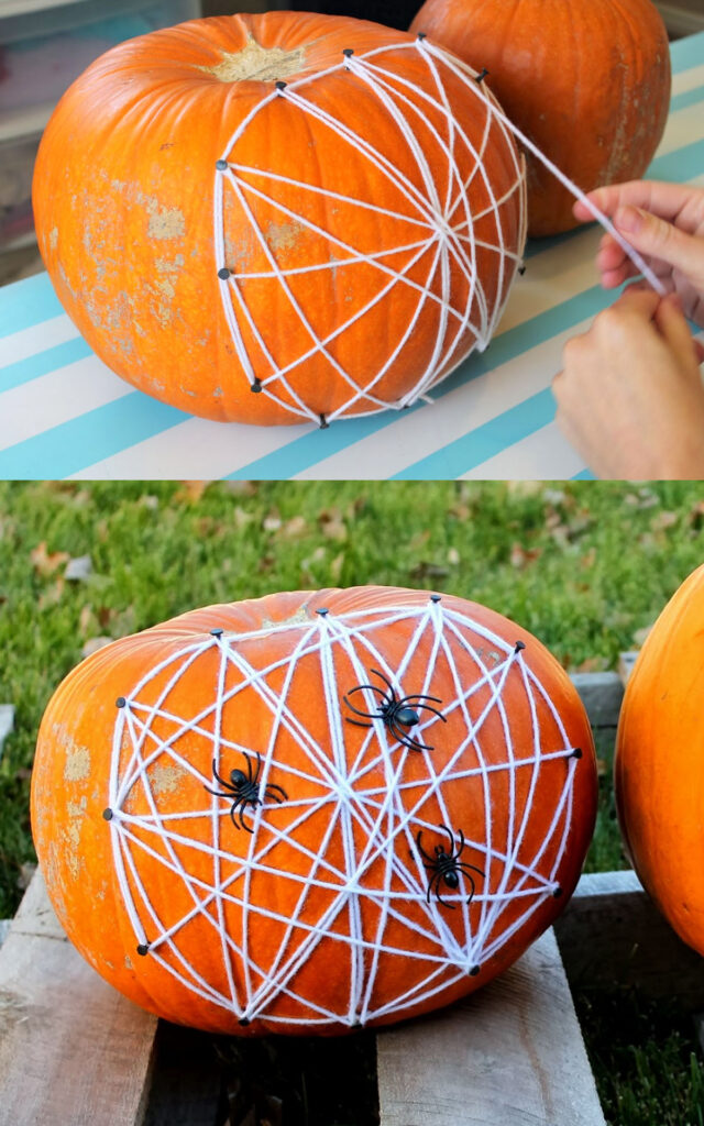 No carve Spider pumpkin decorations for Halloween 
