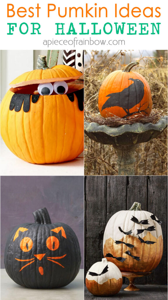 Best no carve Pumpkin decorating ideas.