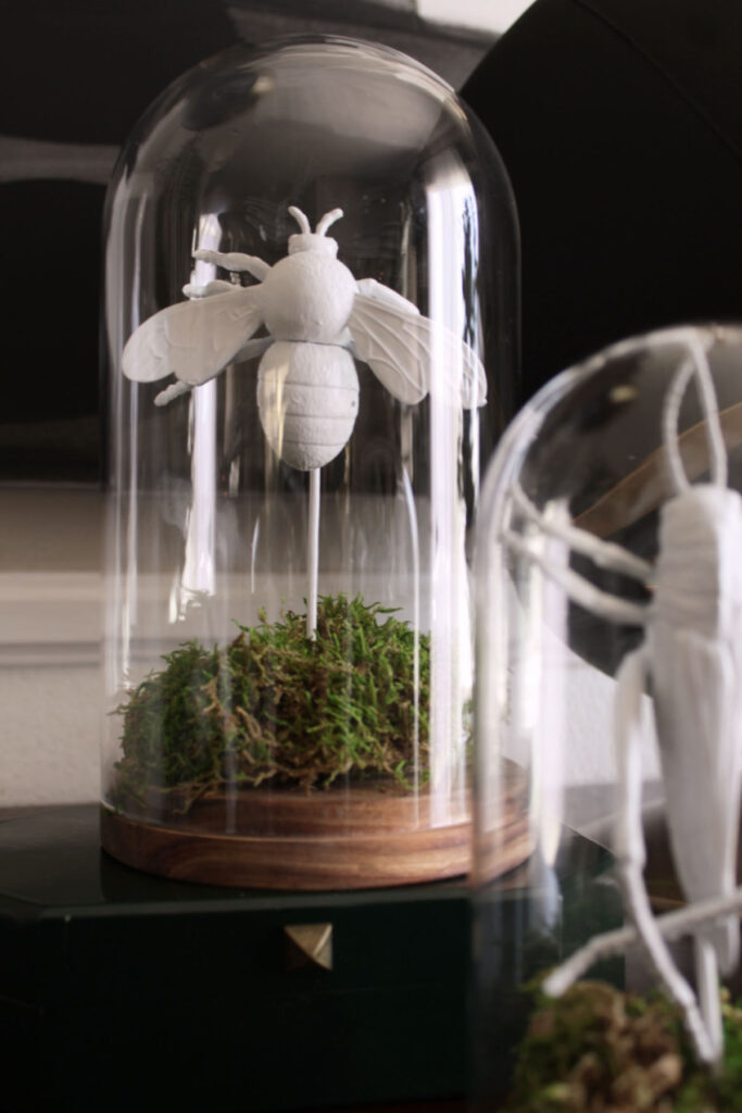 Dollar Store Halloween crafts: bug in a bottle 