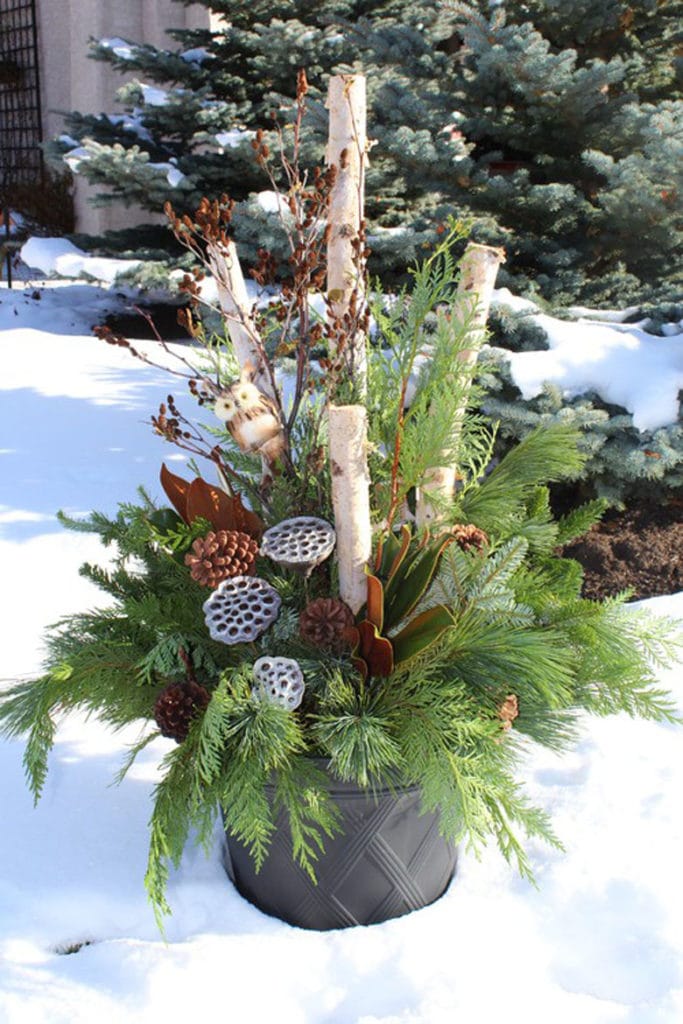 outdoor winter planter with white birch logs