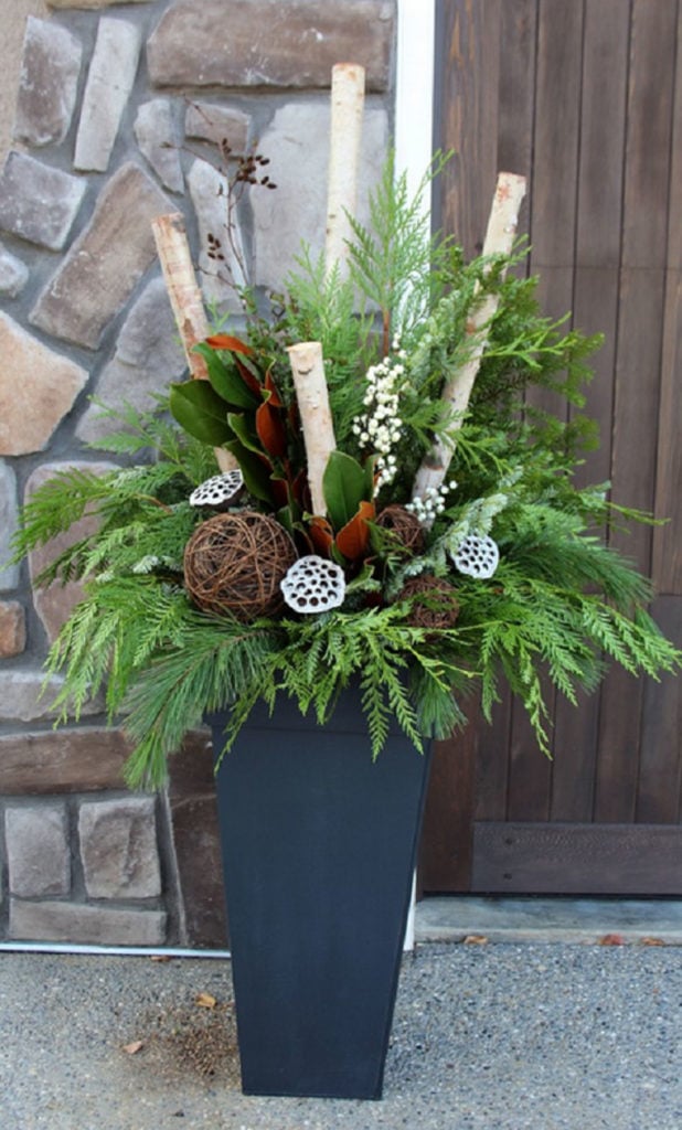 birch - magnolia - conifer mixed winter outdoor planter