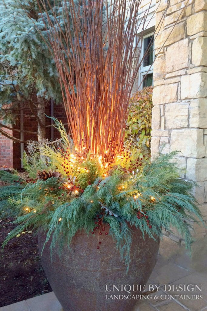 Add lights to your winter and Christmas planters.