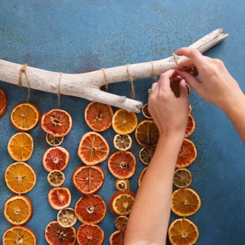 Dried citrus wall hanging decorations 