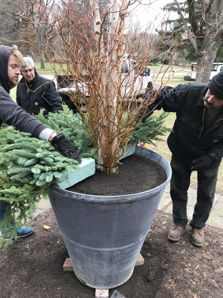  soil and floral foam to support the mix of birch logs, leafy branches, berries etc, in winter planter arrangement 