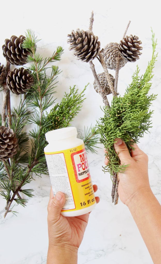 make DIY snow covered pine cones with mod podge glue and pine cones