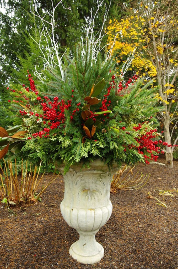 use colorful berries from red, yellow to purple, and bright colored branches in outdoor urn planter