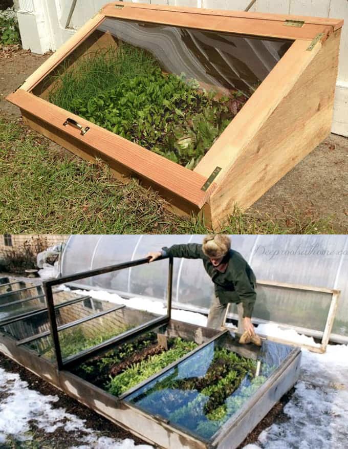 winter garden Cold Frame Along Wall