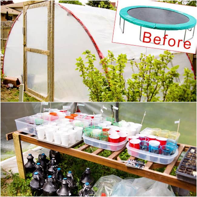  trampoline hoop house