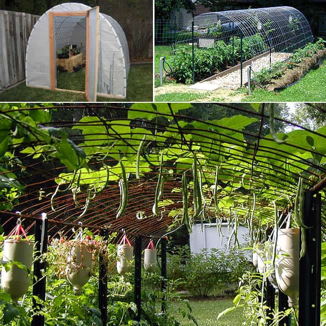 Hardware Fencing Hoop House