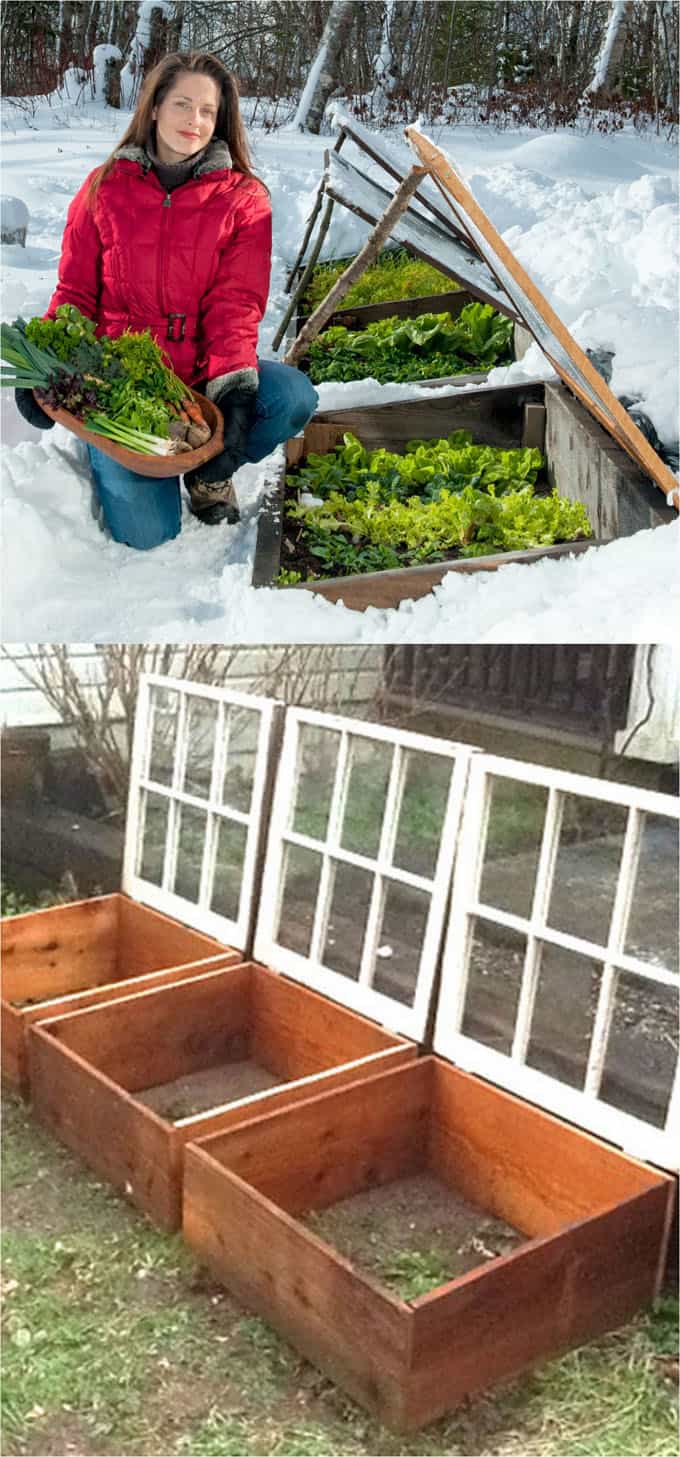 Portable window cold frame ideas