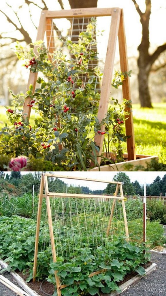 vegetable garden trellises