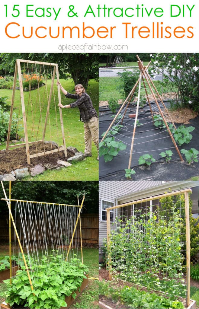 DIY cucumber trellis ideas 