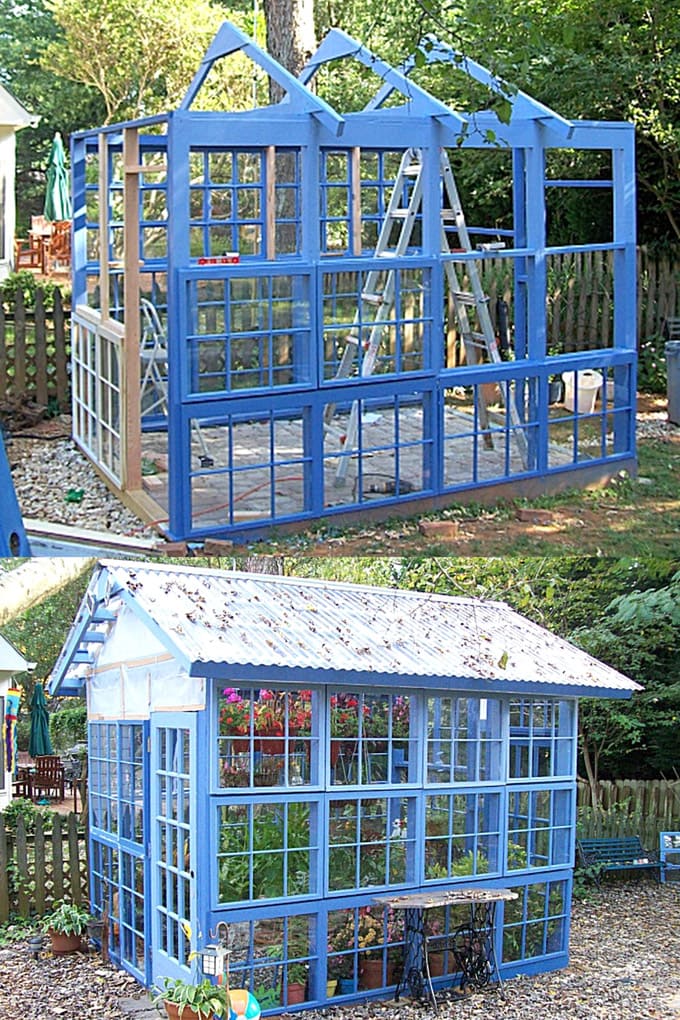 beautiful DIY blue greenhouse from old windows