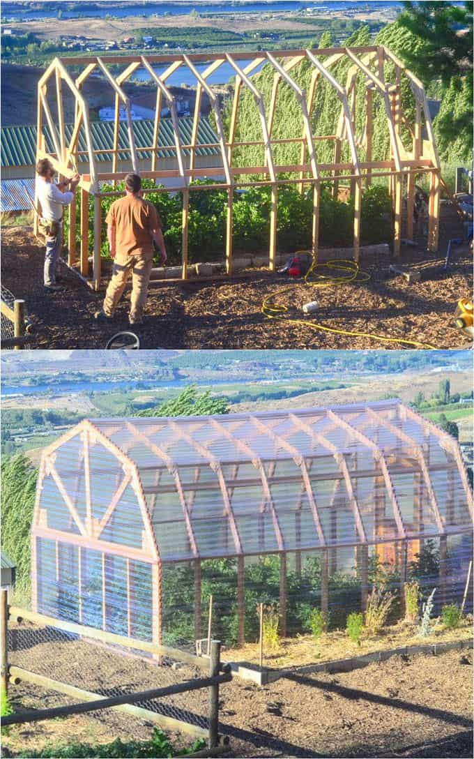 large DIY greenhouse with clear acrylic polycarbonate sheet panels