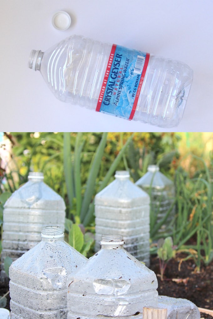 Plastic Bottle DIY Greenhouses
