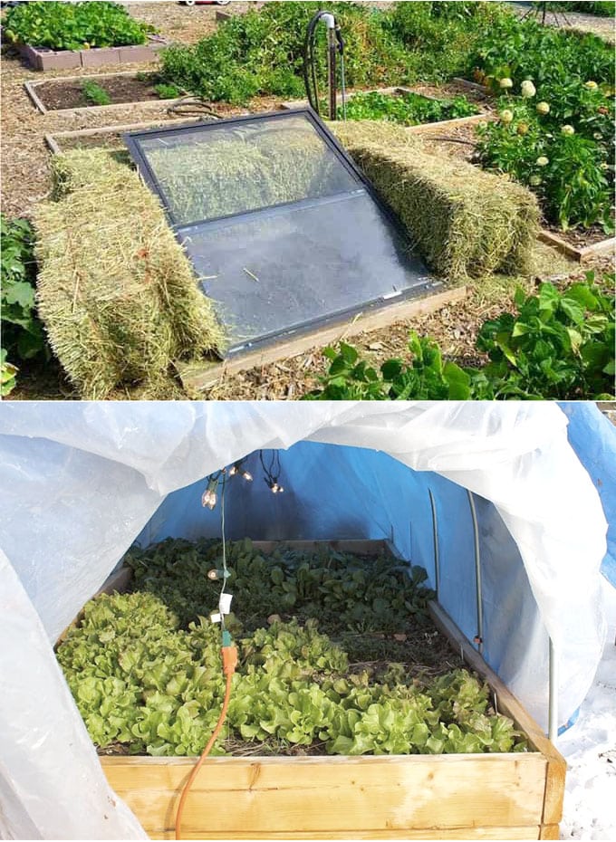 make a Straw Bale Cold Frame 