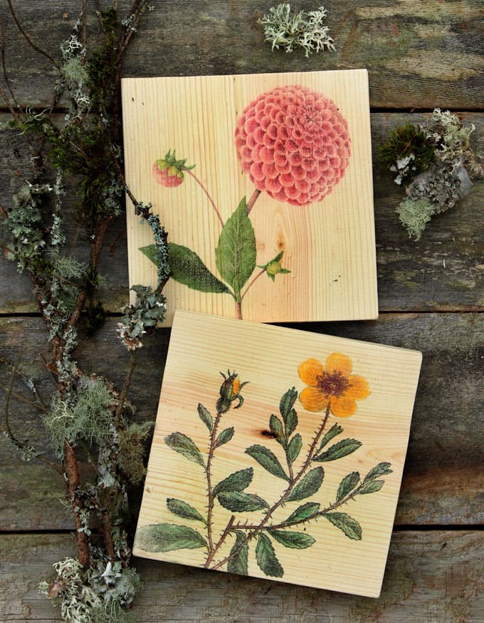 Detailed tutorial on how to transfer image to wood easily and make beautiful, one-of-a-kind printed wood wall art, home decor or gifts! - A Piece Of Rainbow