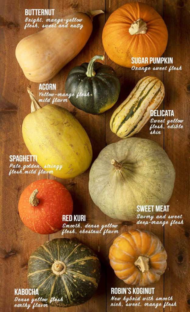  sweet and delicious winter squash and pumpkin varieties such as buttercup, Sweetmeat, Blue Hubbard,
