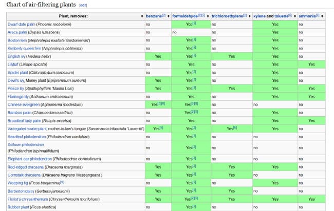 The NASA Clean Air Study on how certain common indoor plants may provide a natural way of removing  pollutants from indoor air