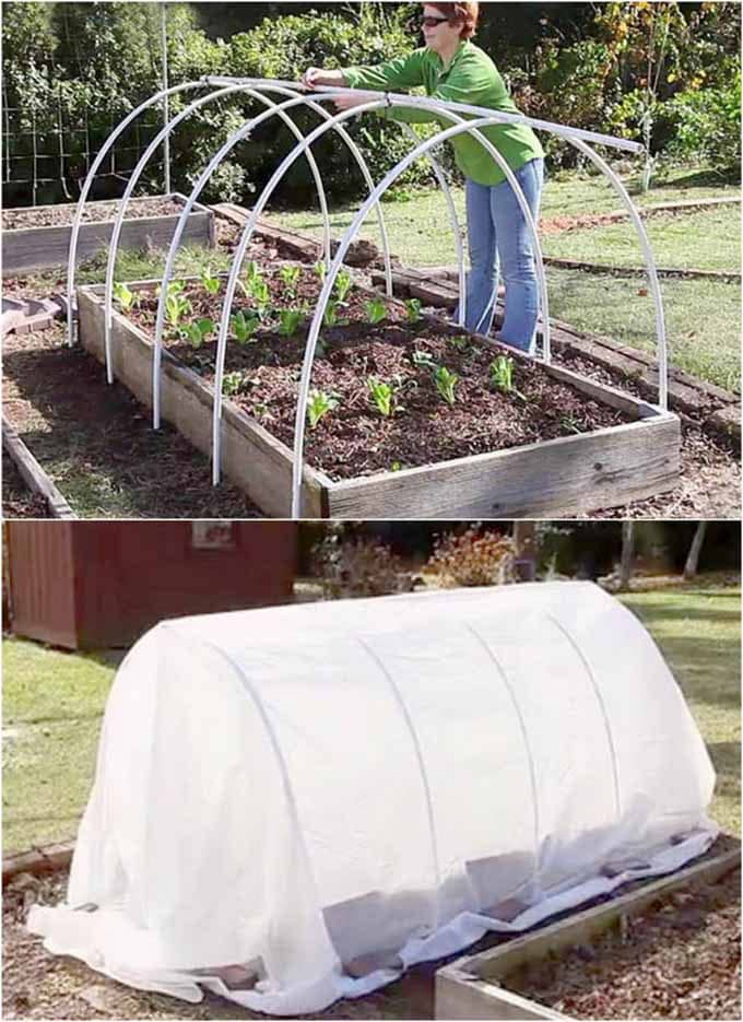 tunnel Hoop House Over Garden Bed