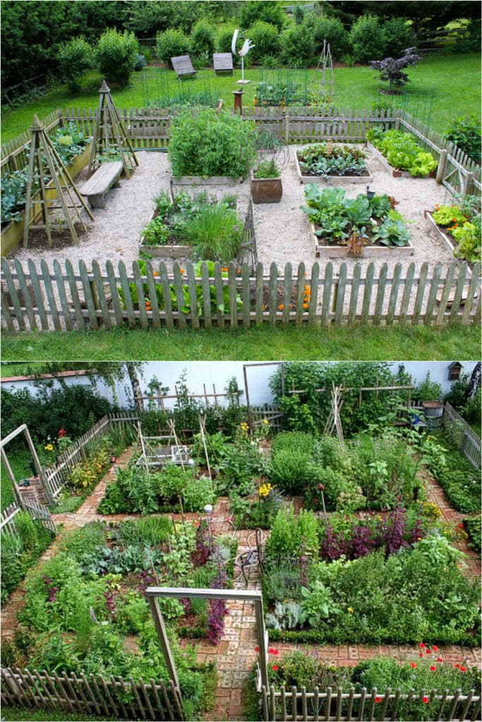 plan & start an abundant vegetable garden for beginners